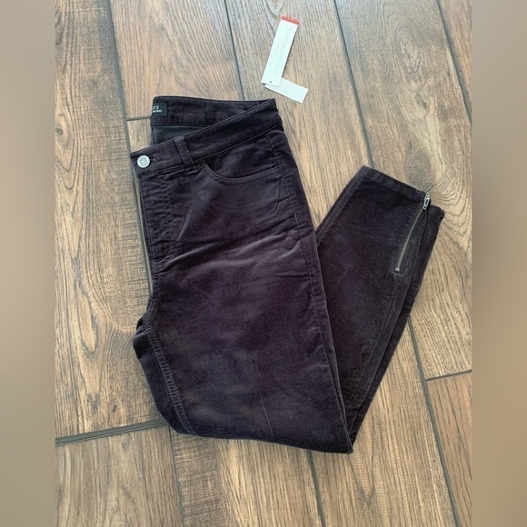 TALBOTS Flawless Five Pocket Petites Black Velvet Velour Jeggings Woman’s 8P - Picture 2 of 6